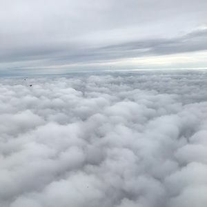 Meet your Posher, Ally